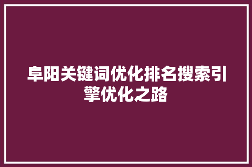 阜阳关键词优化排名搜索引擎优化之路 百度SEO
