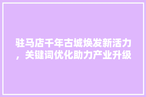 驻马店千年古城焕发新活力，关键词优化助力产业升级 百度SEO