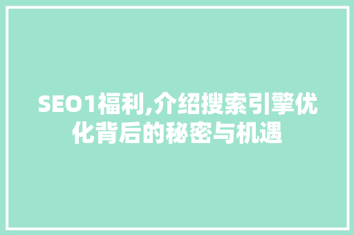 SEO1福利,介绍搜索引擎优化背后的秘密与机遇 GoogleSEO