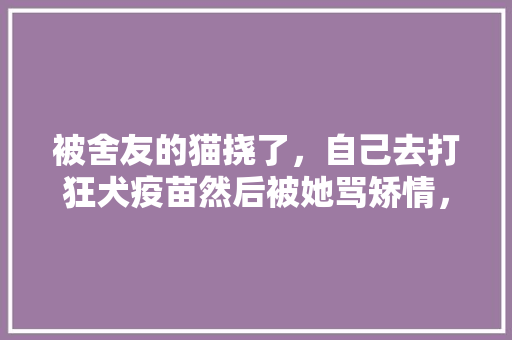 被舍友的猫挠了，自己去打狂犬疫苗然后被她骂矫情，是真的我矫情还是她的问题「为什么别人骂你猫猫狗狗呢」 被舍友的猫挠了，自己去打狂犬疫苗然后被她骂矫情，是真的我矫情还是她的问题「为什么别人骂你猫猫狗狗呢」 必应SEO