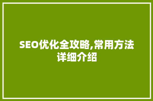 SEO优化全攻略,常用方法详细介绍 GoogleSEO