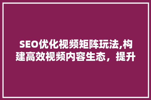SEO优化视频矩阵玩法,构建高效视频内容生态，提升网站排名 GoogleSEO
