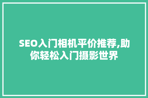 SEO入门相机平价推荐,助你轻松入门摄影世界