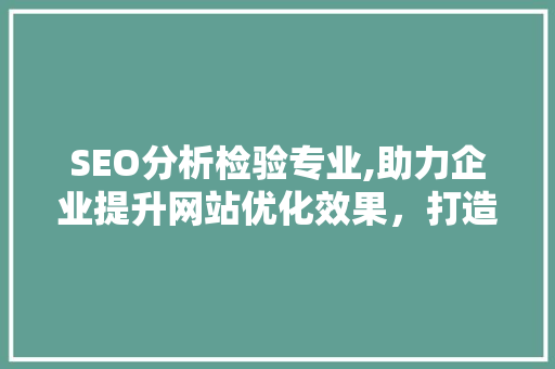 SEO分析检验专业,助力企业提升网站优化效果，打造网络品牌新高度 GoogleSEO