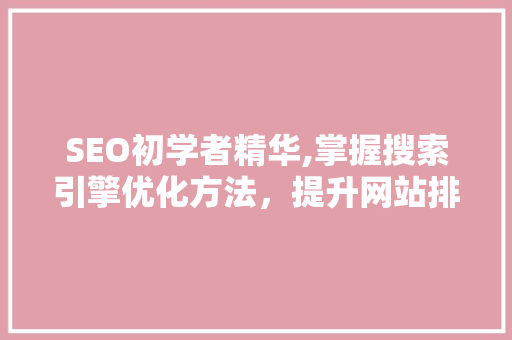 SEO初学者精华,掌握搜索引擎优化方法，提升网站排名 神马SEO