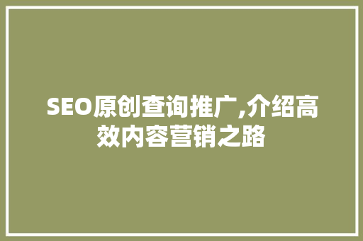 SEO原创查询推广,介绍高效内容营销之路