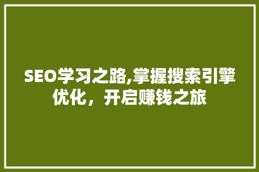 SEO学习之路,掌握搜索引擎优化，开启赚钱之旅 搜狗SEO
