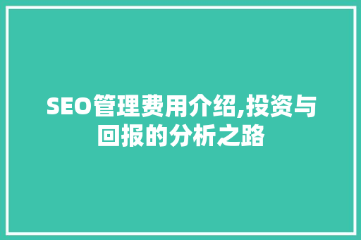SEO管理费用介绍,投资与回报的分析之路