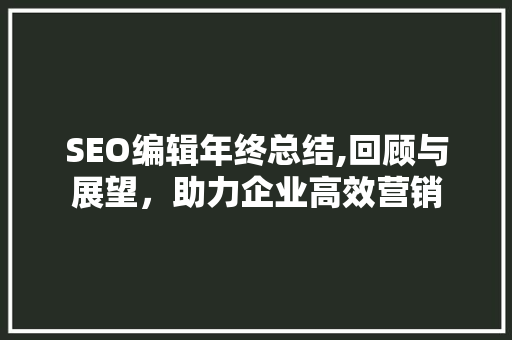 SEO编辑年终总结,回顾与展望，助力企业高效营销 百度SEO
