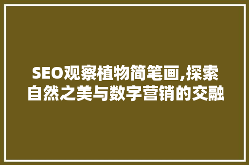 SEO观察植物简笔画,探索自然之美与数字营销的交融