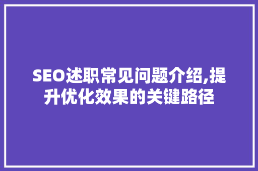 SEO述职常见问题介绍,提升优化效果的关键路径 必应SEO