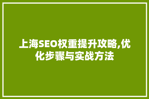 上海SEO权重提升攻略,优化步骤与实战方法