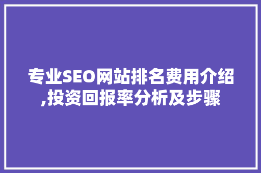 专业SEO网站排名费用介绍,投资回报率分析及步骤