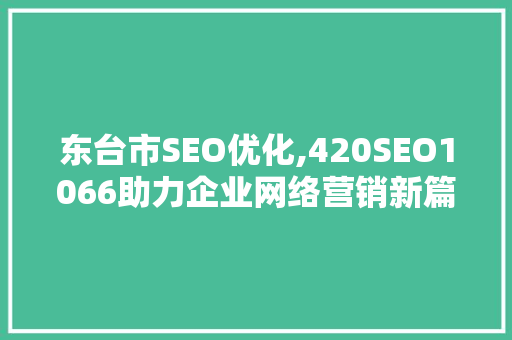 东台市SEO优化,420SEO1066助力企业网络营销新篇章