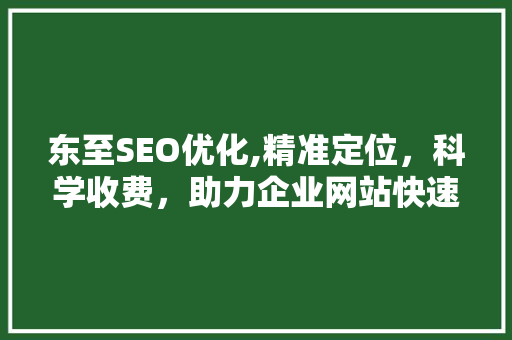 东至SEO优化,精准定位，科学收费，助力企业网站快速崛起 百度SEO
