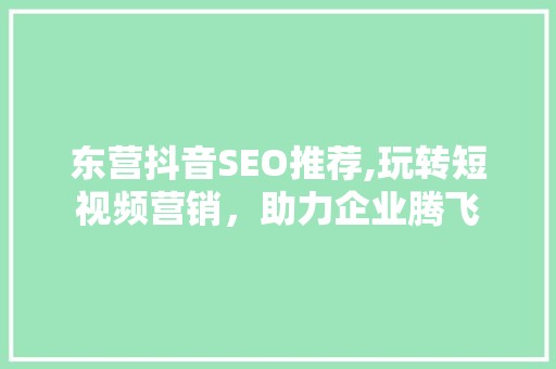 东营抖音SEO推荐,玩转短视频营销，助力企业腾飞 百度SEO