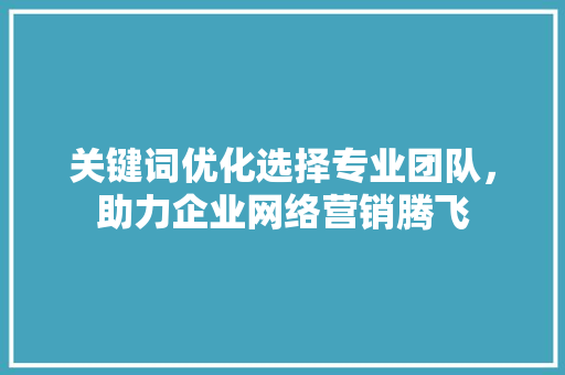 关键词优化选择专业团队，助力企业网络营销腾飞