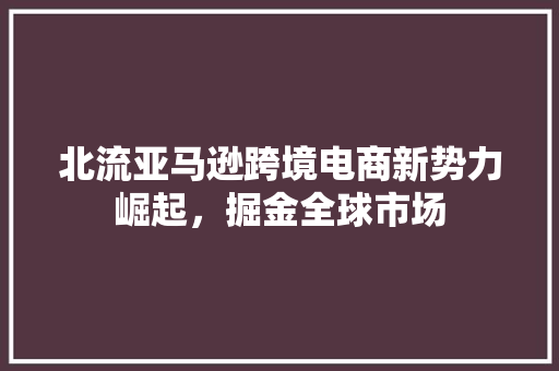 北流亚马逊跨境电商新势力崛起，掘金全球市场