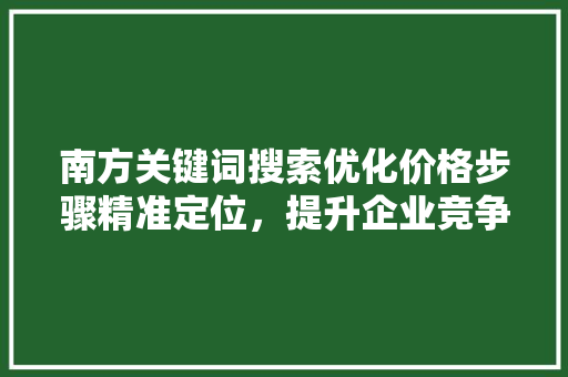 南方关键词搜索优化价格步骤精准定位，提升企业竞争力 搜狗SEO