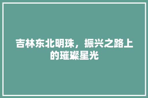 吉林东北明珠，振兴之路上的璀璨星光 必应SEO