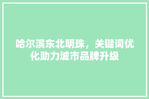 哈尔滨东北明珠，关键词优化助力城市品牌升级 搜狗SEO