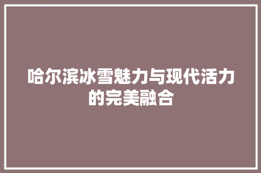哈尔滨冰雪魅力与现代活力的完美融合 必应SEO