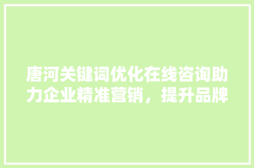 唐河关键词优化在线咨询助力企业精准营销，提升品牌影响力 GoogleSEO