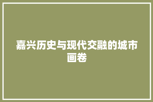 嘉兴历史与现代交融的城市画卷