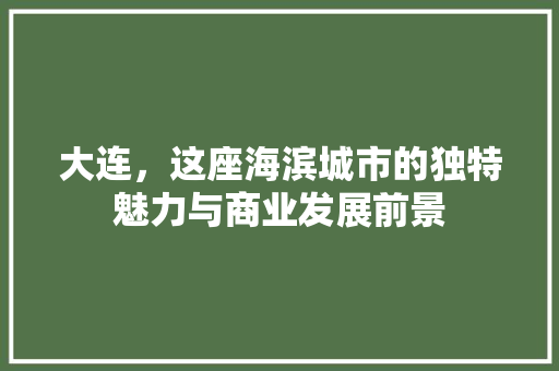 大连，这座海滨城市的独特魅力与商业发展前景 必应SEO