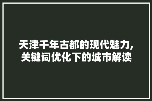 天津千年古都的现代魅力,关键词优化下的城市解读 神马SEO