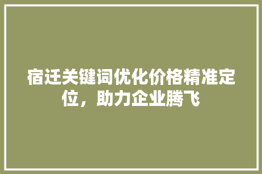 宿迁关键词优化价格精准定位，助力企业腾飞 搜狗SEO