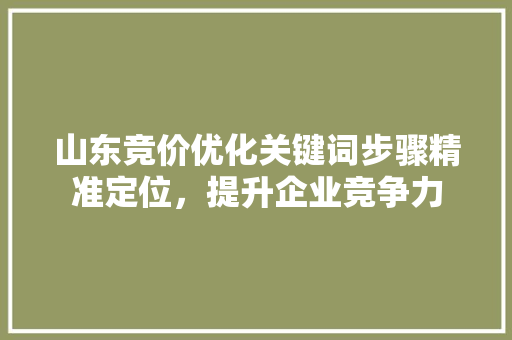 山东竞价优化关键词步骤精准定位，提升企业竞争力 搜狗SEO