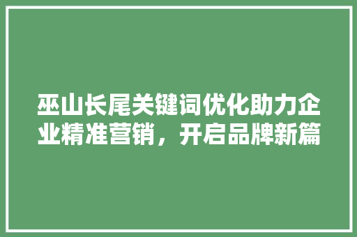 巫山长尾关键词优化助力企业精准营销，开启品牌新篇章 必应SEO
