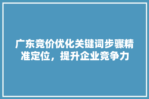 广东竞价优化关键词步骤精准定位，提升企业竞争力 百度SEO
