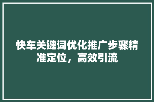 快车关键词优化推广步骤精准定位，高效引流 GoogleSEO
