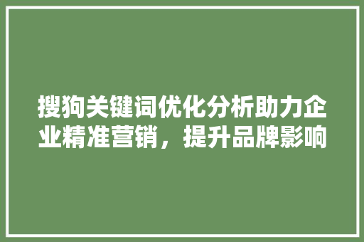 搜狗关键词优化分析助力企业精准营销，提升品牌影响力 搜狗SEO
