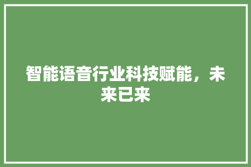 智能语音行业科技赋能，未来已来 必应SEO