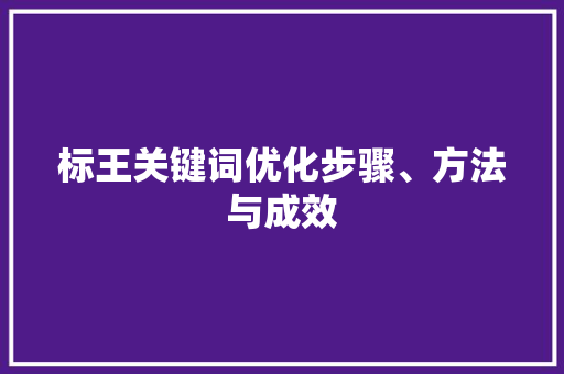标王关键词优化步骤、方法与成效 GoogleSEO