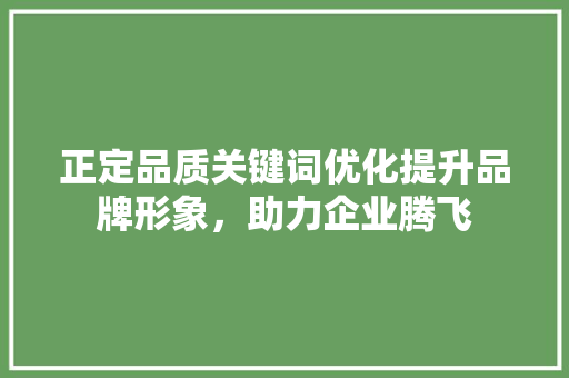 正定品质关键词优化提升品牌形象，助力企业腾飞 搜狗SEO