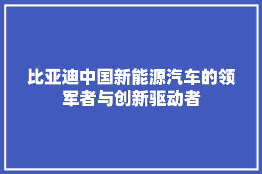 比亚迪中国新能源汽车的领军者与创新驱动者 神马SEO