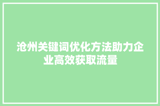 沧州关键词优化方法助力企业高效获取流量 百度SEO