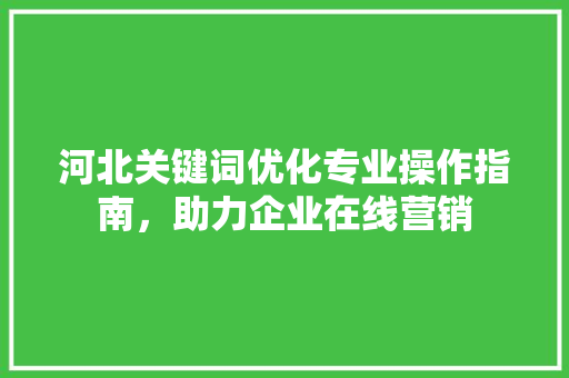 河北关键词优化专业操作指南，助力企业在线营销 神马SEO