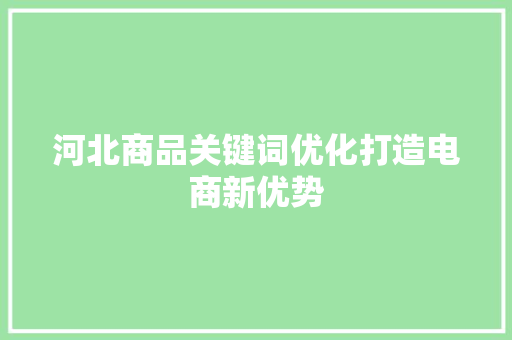 河北商品关键词优化打造电商新优势