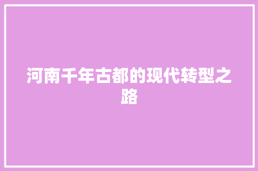 河南千年古都的现代转型之路 百度SEO