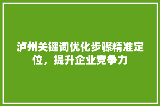 泸州关键词优化步骤精准定位，提升企业竞争力 GoogleSEO