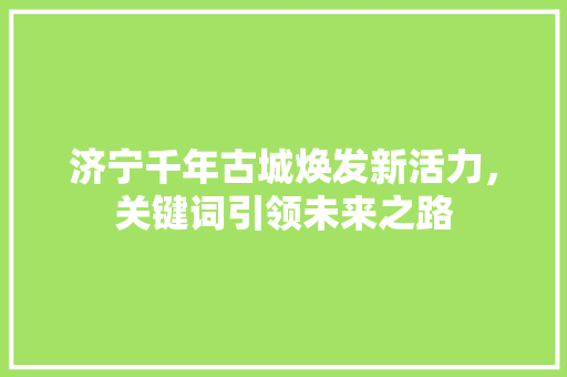 济宁千年古城焕发新活力，关键词引领未来之路 百度SEO
