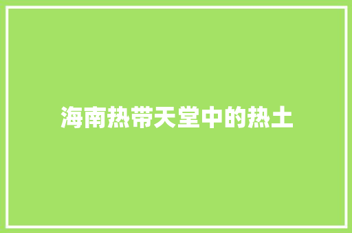 海南热带天堂中的热土 百度SEO