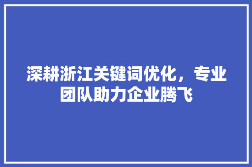 深耕浙江关键词优化，专业团队助力企业腾飞