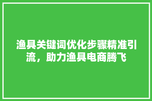 渔具关键词优化步骤精准引流，助力渔具电商腾飞 百度SEO