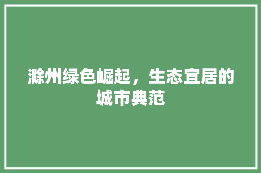 滁州绿色崛起，生态宜居的城市典范 百度SEO